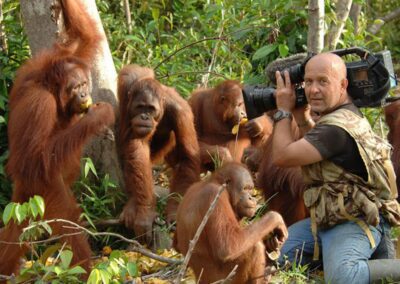 2017 – Témoigner de la fragilité de la biodiversité en Indonésie – MAWAS BIODIVERSITÉ