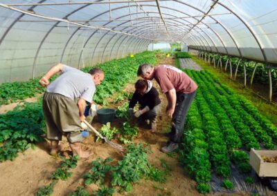 2017 – Créer un centre agroécologique en Loire-Atlantique – TERRE & HUMANISME