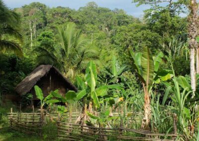 2018 – Soutenir la tribu nomade des Kasua en Papouasie-Nouvelle Guinée – ART-BORESCENCE