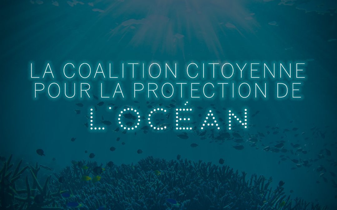 La Fondation Iris rejoint la Coalition citoyenne pour la protection de l’Océan