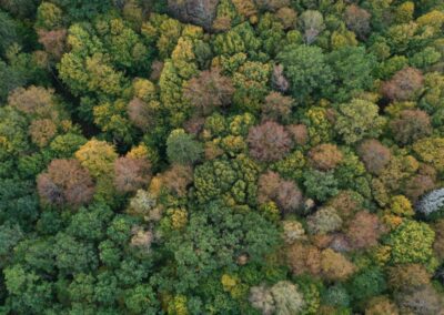 Depuis 2023 – Explorer les initiatives de réensauvagement – INTO THE REWILD