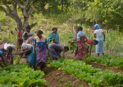 2022-2024 – Préserver les espèces animales en danger dans la Réserve de Manombo à Madagascar – UICN