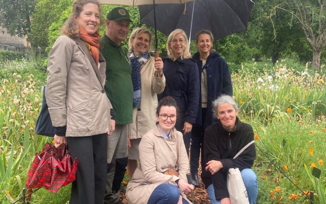 La Fondation Iris mécène du Jardin d’Iris