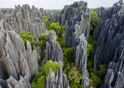 Bourse SEF-IRIS 2024 : Documenter la biodiversité des tsingy de Namoroka à Madagascar, en saison des pluies – TIA TANY