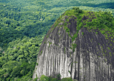 2023 – Conserver le patrimoine génétique des espèces menacées en Guyane – MUSÉUM NATIONAL D&rsquo;HISTOIRE NATURELLE