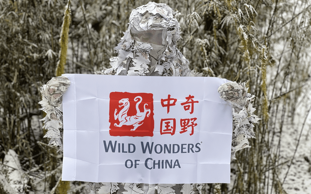 Merveilles naturelles de la Chine : 10 ans d’exploration photographique