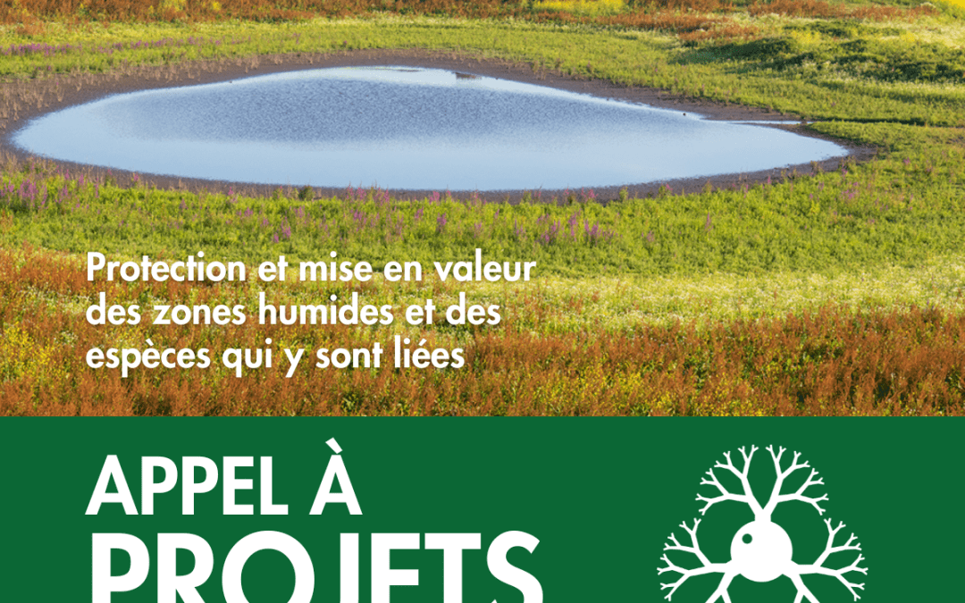 2e appel à projets 2025 : vous avez jusqu’au 15 septembre pour postuler