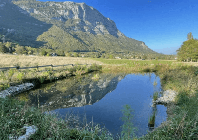 Depuis 2025 – Étudier la complémentarité des mares pour optimiser leur gestion – LPO AUVERGNE-RHÔNE ALPES