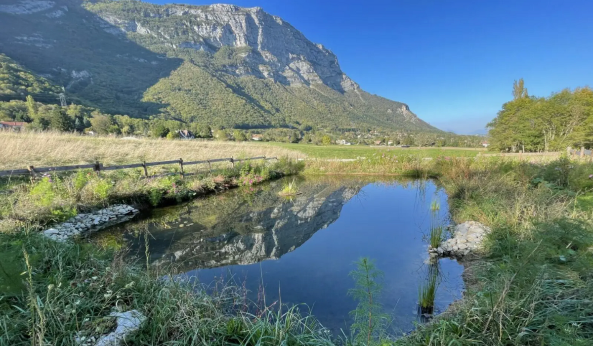 Depuis 2025 – Étudier la complémentarité des mares pour optimiser leur gestion – LPO AUVERGNE-RHÔNE ALPES