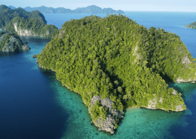 Depuis 2025 – Préserver la plus grand forêt primaire du Sulawesi en Indonésie – NATUREVOLUTION