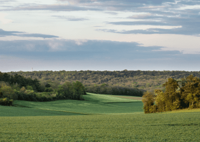 Depuis 2025 – Préserver le patrimoine forestier du Parc naturel régional du Gâtinais français- SYLV&rsquo;ACCTES