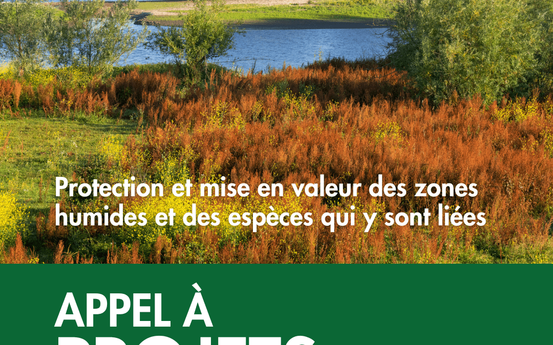 Appel à projets 2026 : vous avez jusqu’au 2 mars pour postuler