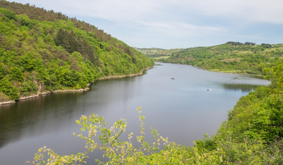 Depuis 2025 – Protéger collectivement la Haute Vallée de la Loire Sauvage – SOS LOIRE VIVANTE