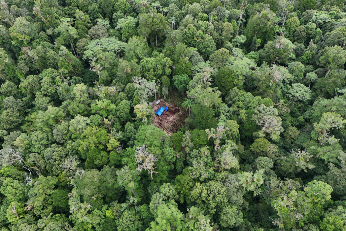 2.Projet_Mayang_Camp