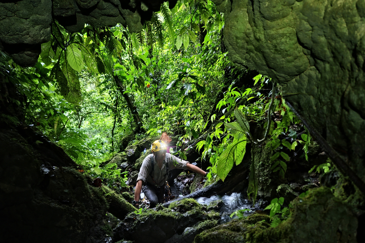 8.Projet_Mayang_Biodiv