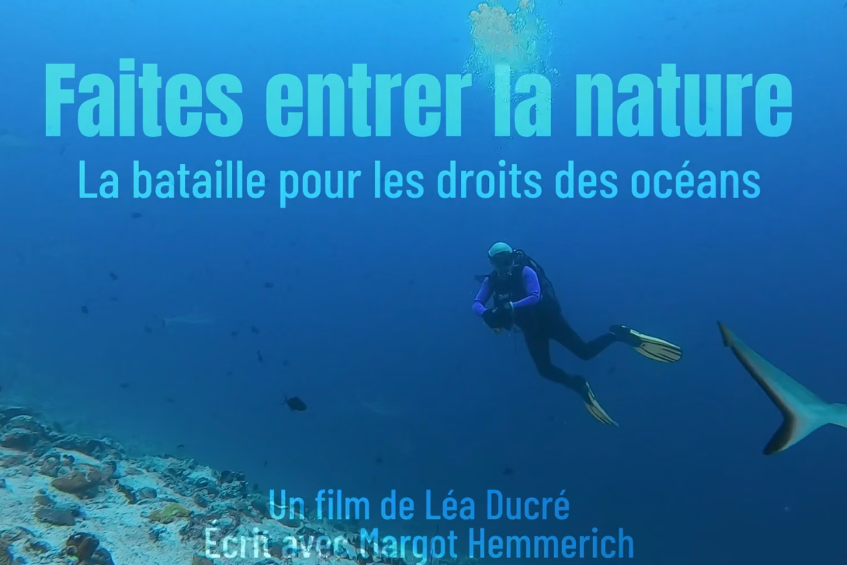 Faites entrer la nature : l&rsquo;océan comme sujet de droit