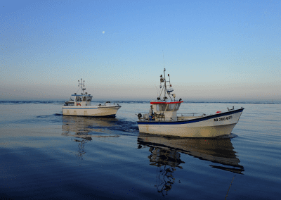 Depuis 2025 – Agir pour la gestion des pêches des espèces marines oubliées – LES LIGNEURS DE LA POINTE DE BRETAGNE