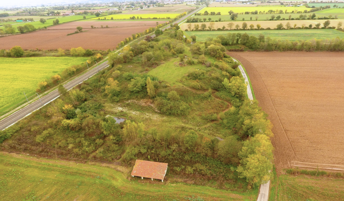 Depuis 2026 – Réhabiliter des espaces dégradés pour les transformer en îlots de biodiversité – LE PIC VERT