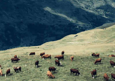 Depuis 2026 – Défendre les zones humides contre les pesticides – RÉSEAU FRANCE NATURE ENVIRONNEMENT