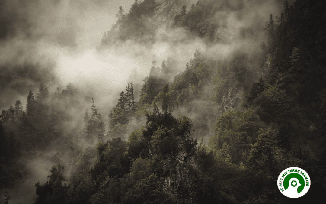 leoDegraaff_Vancouver01