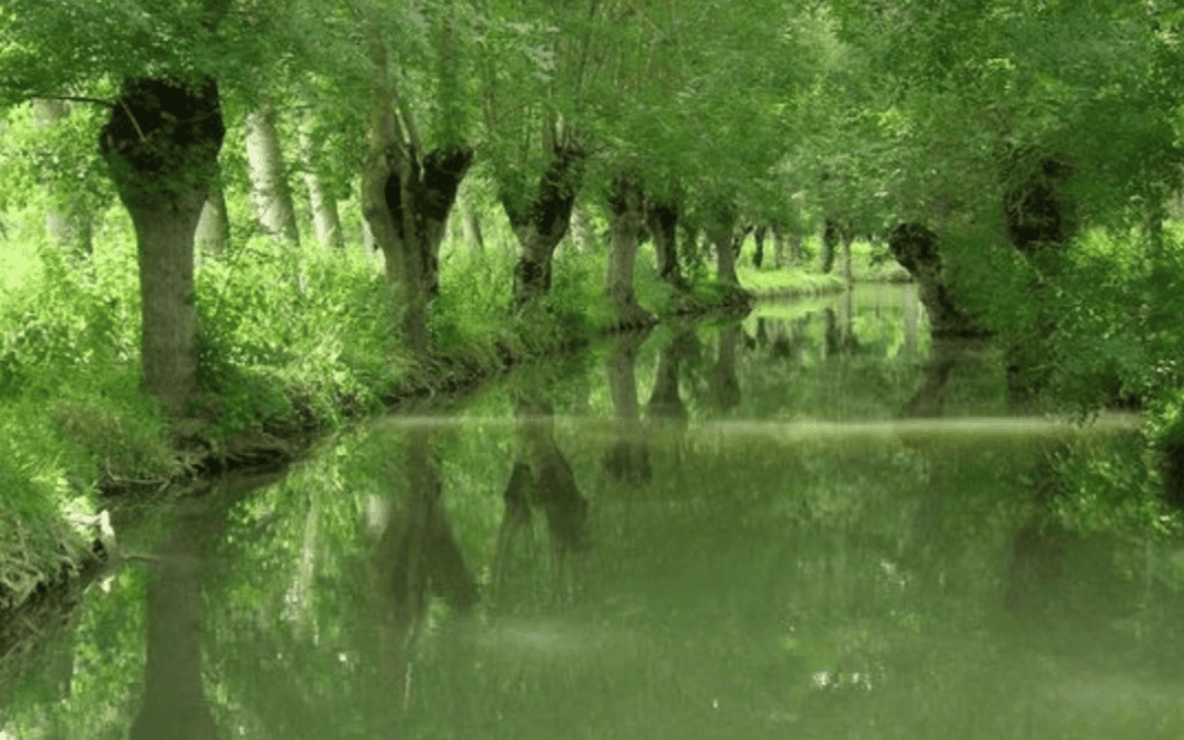 5e Rencontres nationales des acteurs des allées d&rsquo;arbres