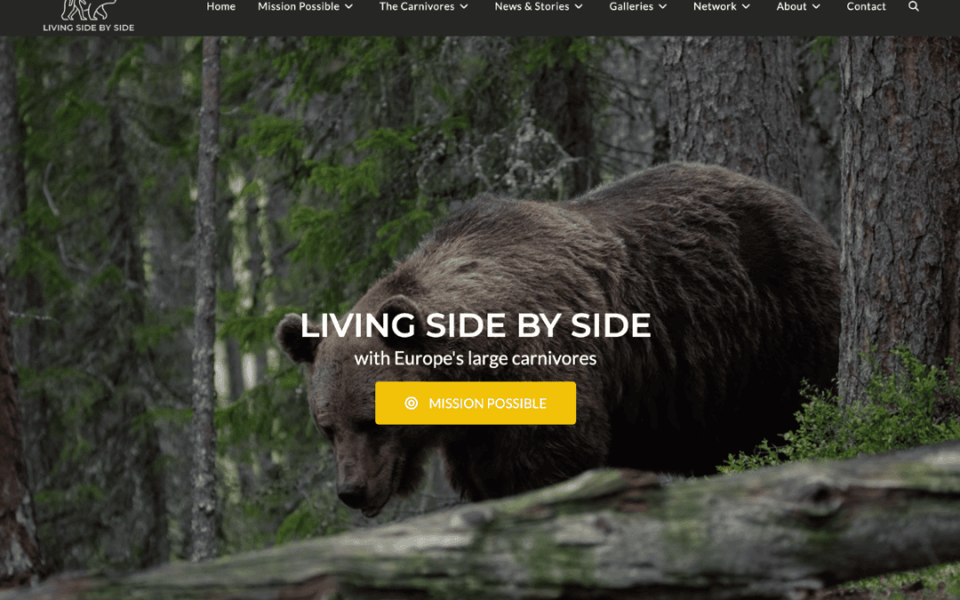 Living Side by Side : mieux vivre aux côtés des grands carnivores d’Europe